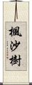 楓沙樹 Scroll