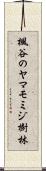 楓谷のヤマモミジ樹林 Scroll
