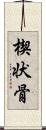 楔状骨 Scroll