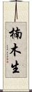 楠木生 Scroll