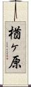 楢ヶ原 Scroll