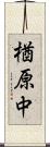 楢原中 Scroll