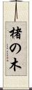 楮の木 Scroll
