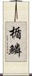 楯鱗 Scroll