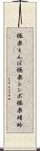 極楽とんぼ Scroll