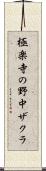 極楽寺の野中ザクラ Scroll