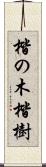 楷の木 Scroll