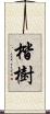 楷樹 Scroll