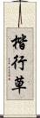 楷行草 Scroll