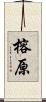 榕原 Scroll