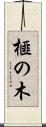 榧の木 Scroll
