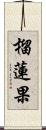 榴蓮果 Scroll