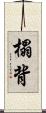 榻背 Scroll
