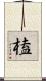榼 Scroll
