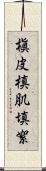 槇皮 Scroll
