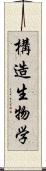 構造生物学 Scroll