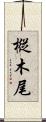 樅木尾 Scroll