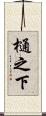 樋之下 Scroll