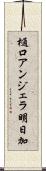 樋口アンジェラ明日加 Scroll