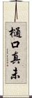 樋口真未 Scroll