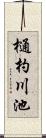 樋杓川池 Scroll