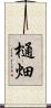 樋畑 Scroll
