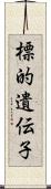 標的遺伝子 Scroll