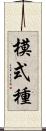 模式種 Scroll