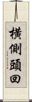 横側頭回 Scroll