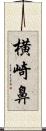 横崎鼻 Scroll