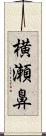 横瀬鼻 Scroll