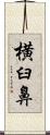 横臼鼻 Scroll