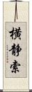 横静索 Scroll