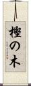 樫の木 Scroll