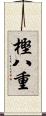樫八重 Scroll