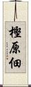 樫原佃 Scroll