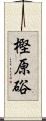 樫原硲 Scroll