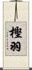 樫羽 Scroll