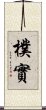 樸實 Scroll