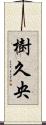 樹久央 Scroll