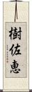 樹佐恵 Scroll