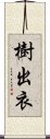 樹出衣 Scroll