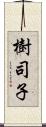 樹司子 Scroll