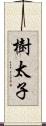 樹太子 Scroll