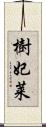 樹妃莱 Scroll