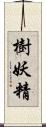 樹妖精 Scroll