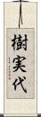 樹実代 Scroll