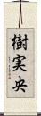 樹実央 Scroll