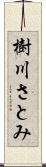 樹川さとみ Scroll