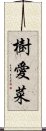 樹愛菜 Scroll